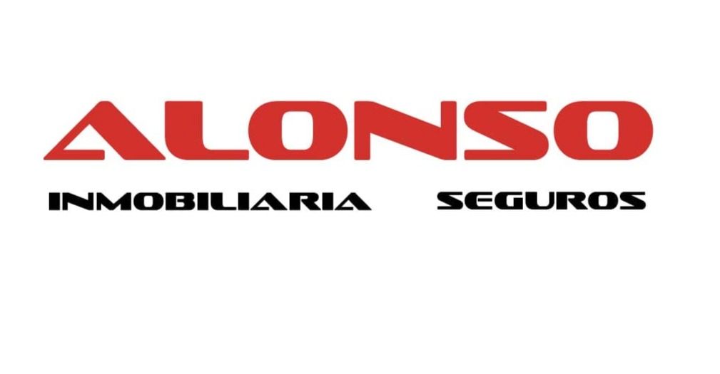 INMOBILIARIA Y SEGUROS ALONSO