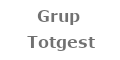 Grup Totgest