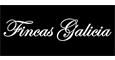 FINCAS GALICIA INMOBILIARIA