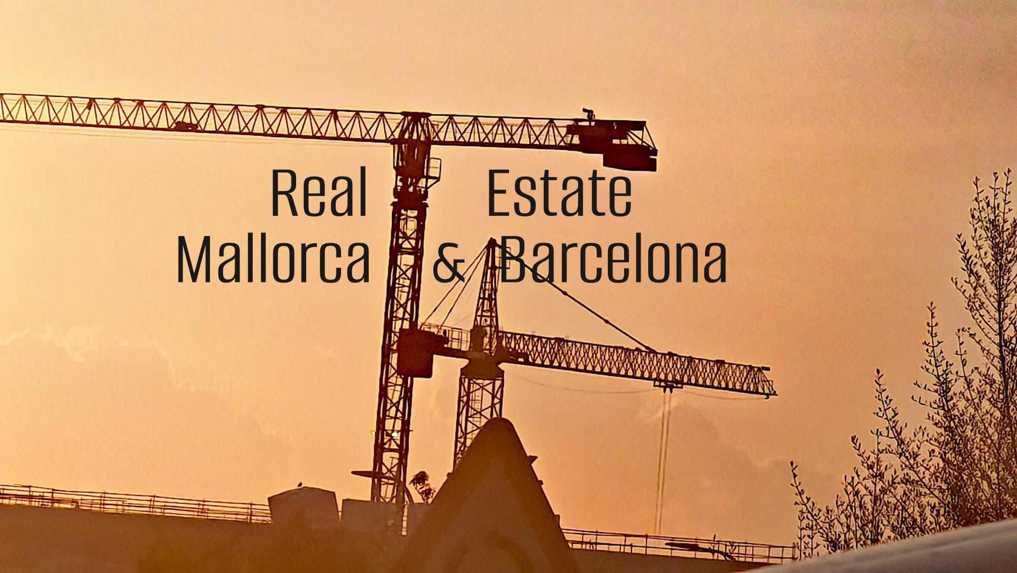 REAL ESTATE MALLORCA & BARCELONA