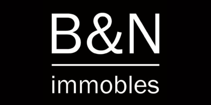 B&N IMMOBLES